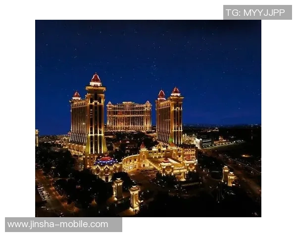 9001金沙澳门电子-金色网络的卓越乐章 金沙澳门电子赏析与应用初探-9001金沙澳门电子