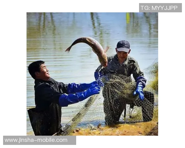 澳门金沙捕鱼-探索澳门金沙捕鱼的多重魅力与细节思考-澳门金沙捕鱼